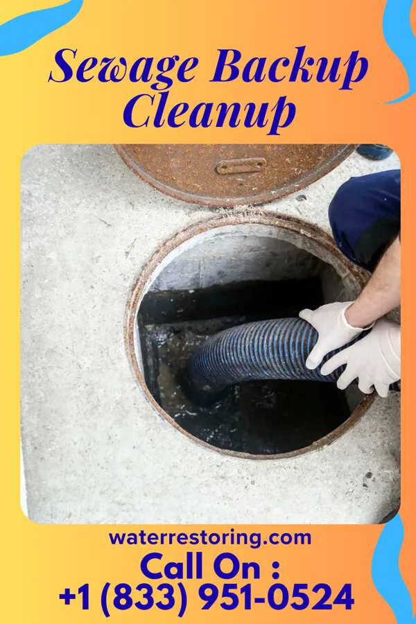 Sewage Backup Cleanup in Oneida, TN