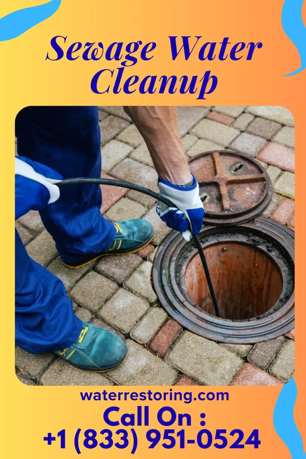 Sewage Water Cleanup in Oneida, TN