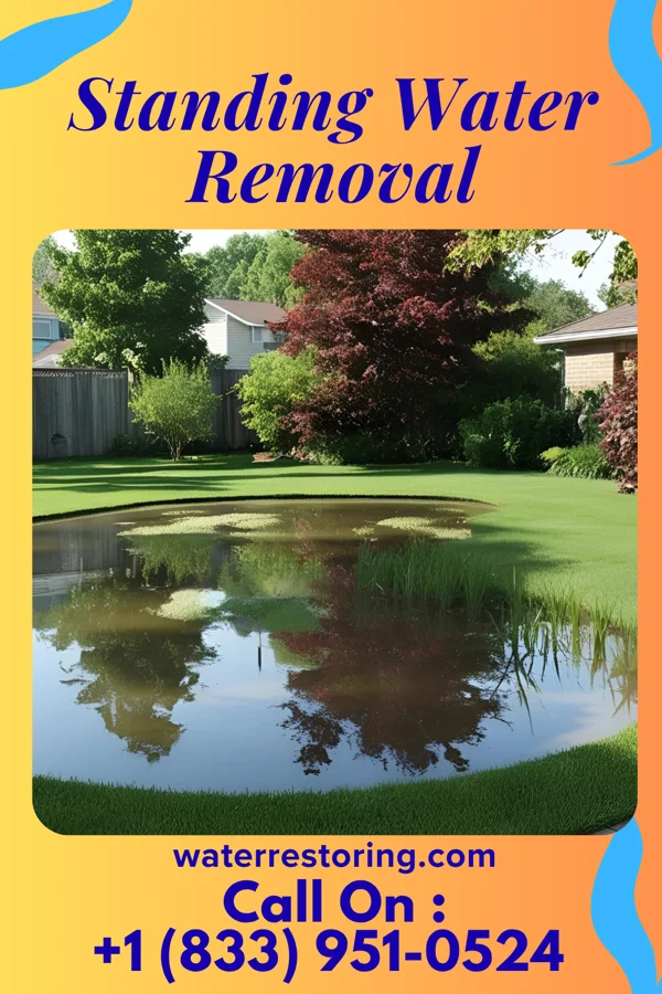 Standing Water Removal in Oneida, TN